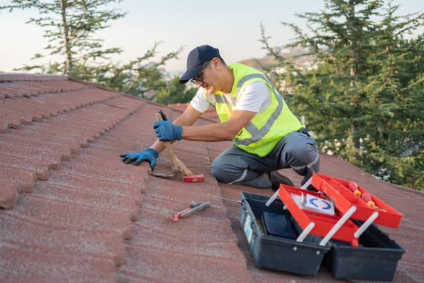 Best Roof Gutter Cleaning  in Badin, NC