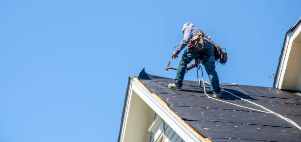 Roof Gutter Cleaning in Badin, NC